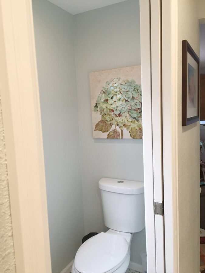 The private toilet room in our newly renovated master bathroom.