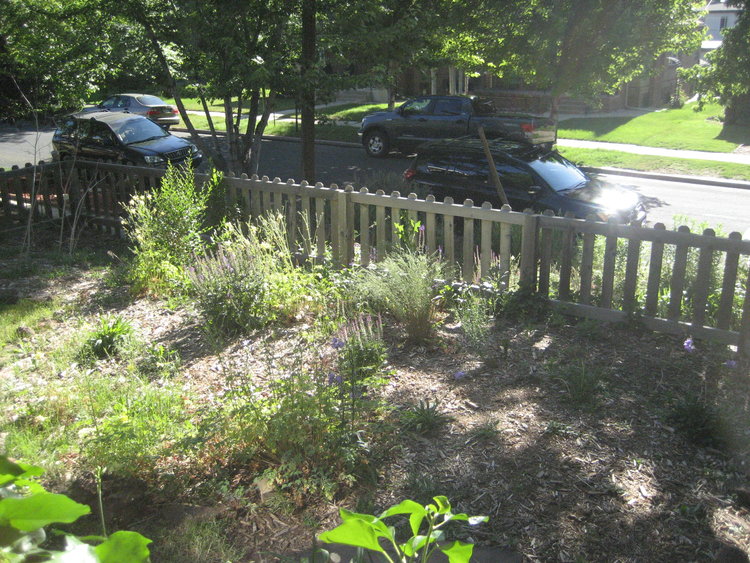 The weathered picket fence and flower beds at our first home