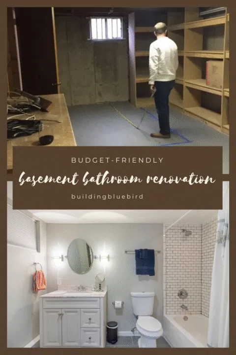 basement bathroom renovation floor plan with shower and guest room