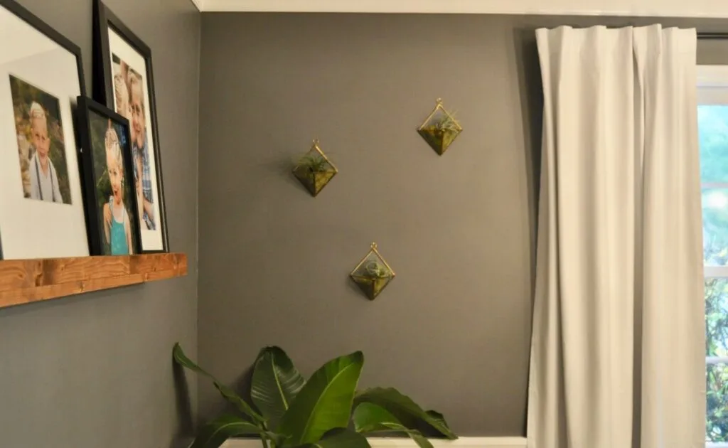 Hanging planters in the dining room