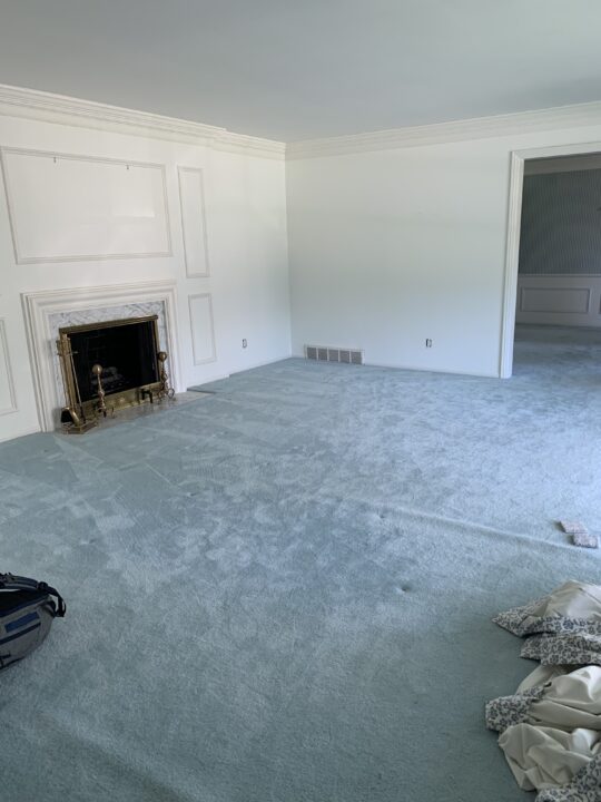 Living room with blue carpet