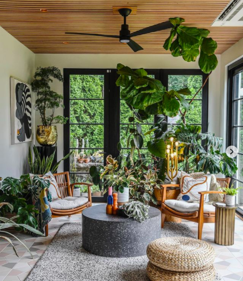 Hilton Carter adds plants and floor to ceiling windows in his sunroom | Building Bluebird