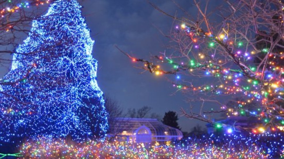 The Toledo Zoo Lights Before Christmas