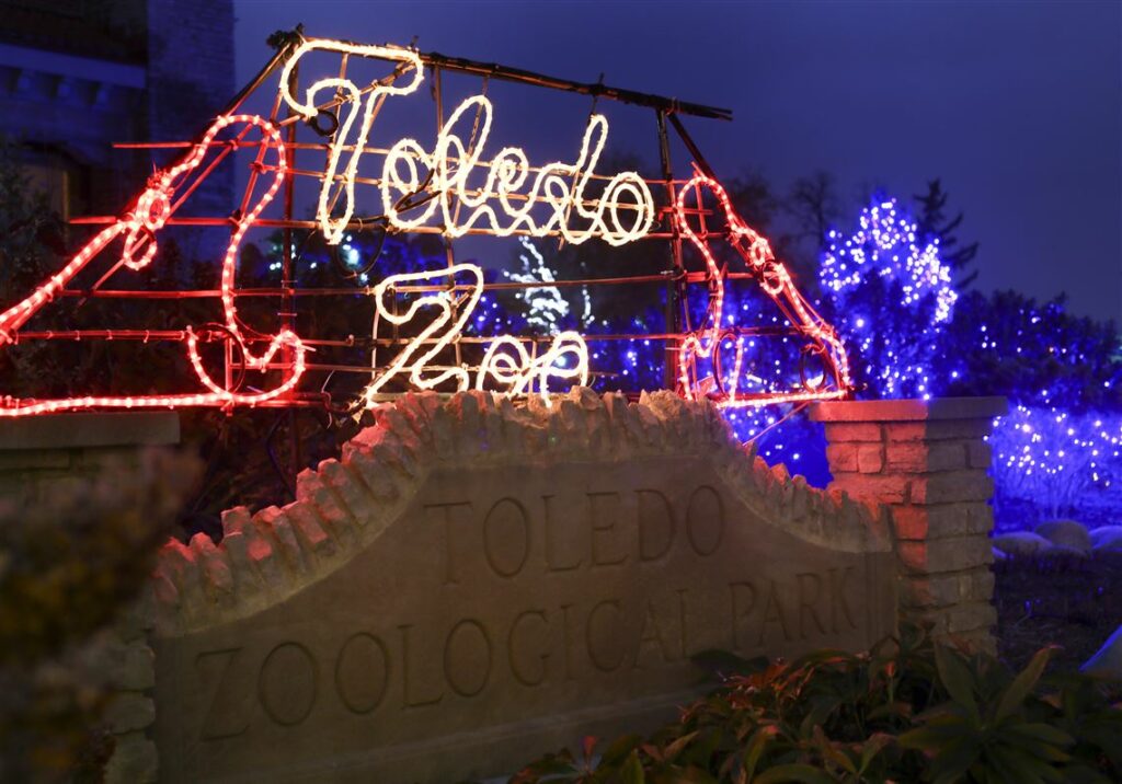 Visit the Lights Before Christmas at the Zoo with your kids | Building Bluebird