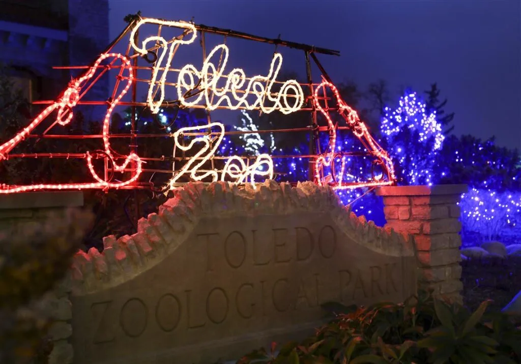 Visit the Lights Before Christmas at the Zoo with your kids | Building Bluebird