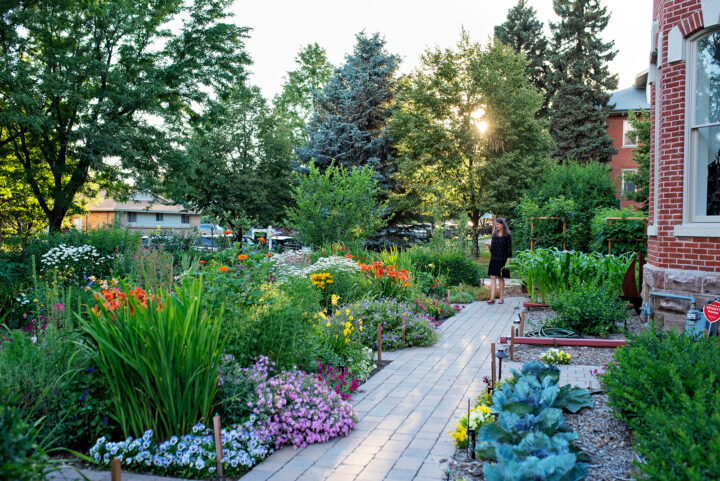 The Bosler house flower garden in Denver, CO