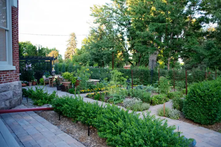 Historic Bosler House garden in Denver with pergola and English flowers