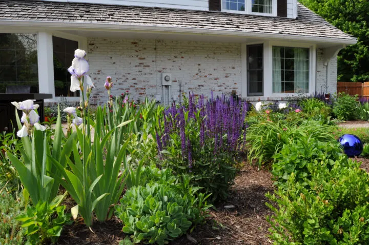 Creating your own English garden with these simple elements to create a beautiful cottage garden design | Building Bluebird #cottagecre #perennials #romanticgarden