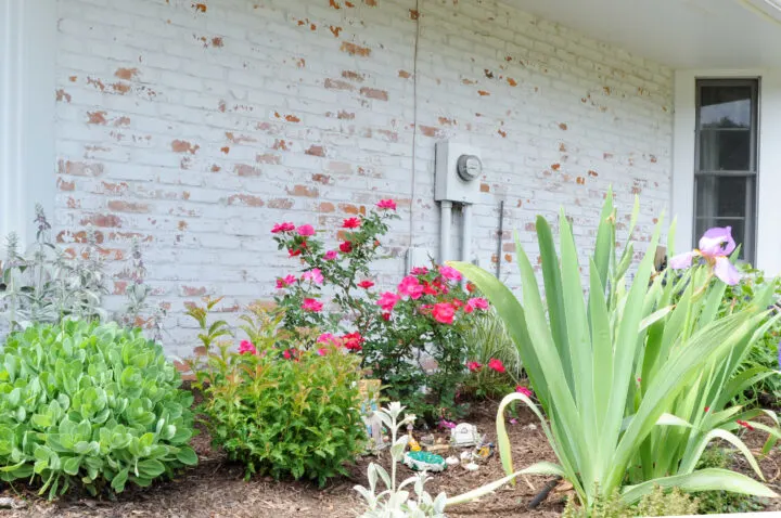 How to camouflage an ugly electrical meter with paint and perennials | Building Bluebird #diy #englishgarden #gardening