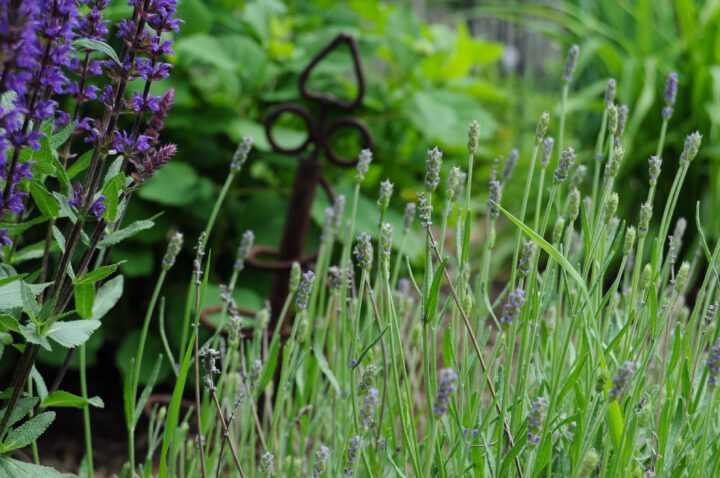 Creating Our Backyard English Garden DIY & Inspiration Images