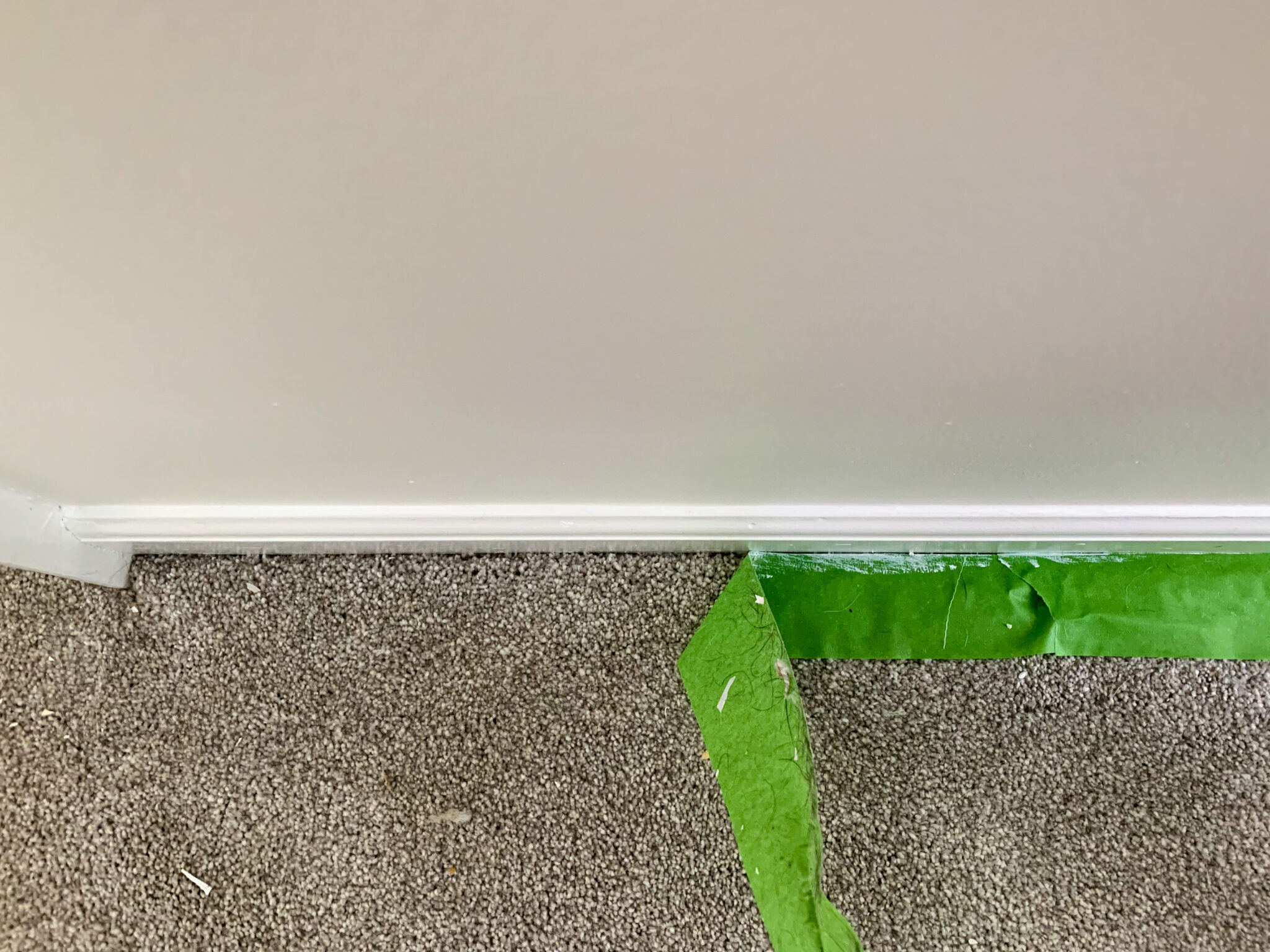 How to Paint A Room with Carpeting Tutorial Building Bluebird