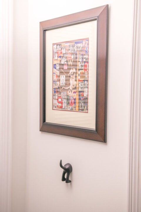 Ted Williams poster and quirky towel hook