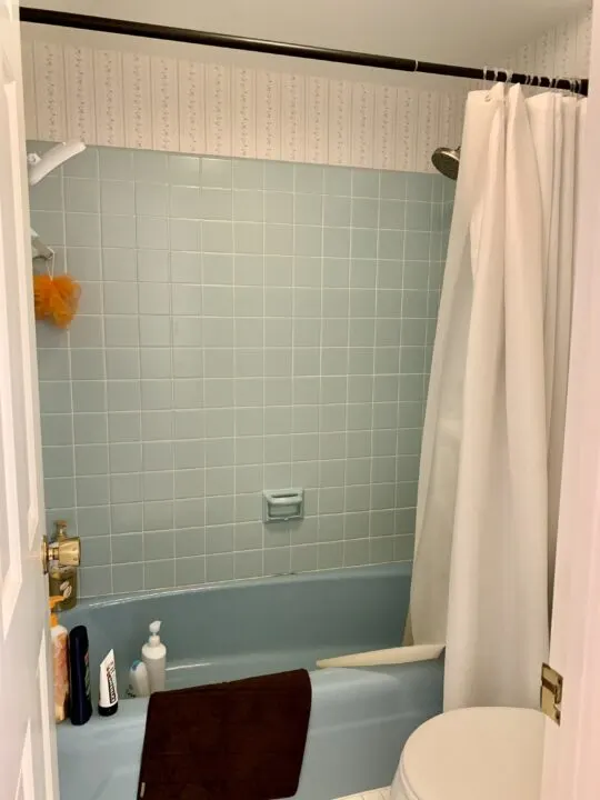 Budget-friendly master bathroom makeover | Building Bluebird
#retro #bathroommakeover