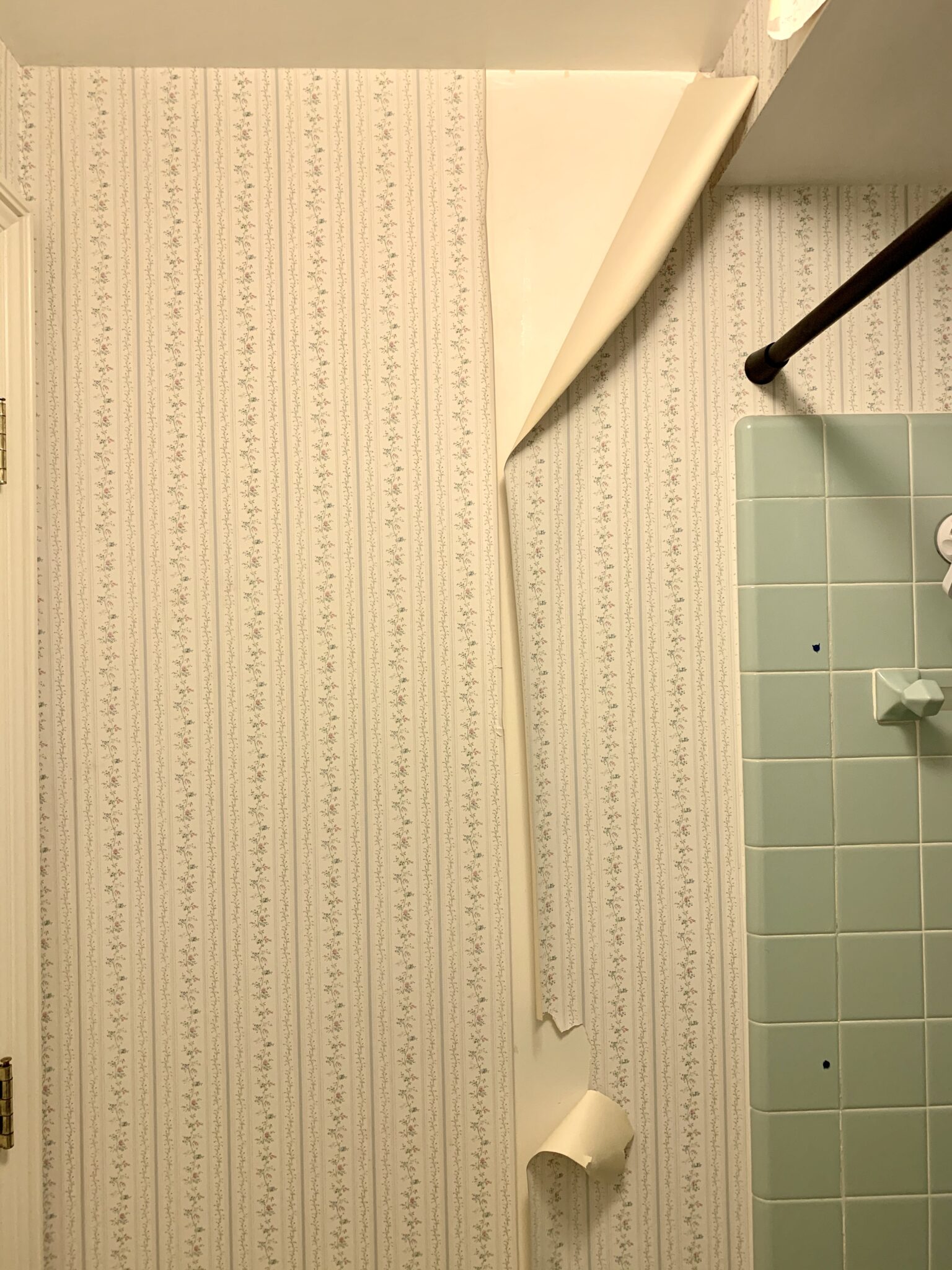 How to Remove Wallpaper with a Steamer DIY Building Bluebird