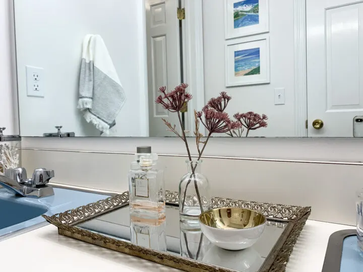 How to highlight your vintage bathroom and add function for modern families | Building Bluebird