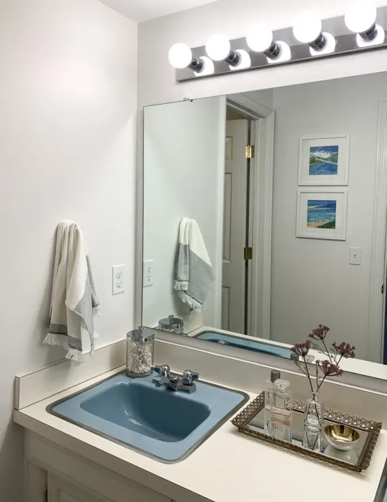 Modern master bathroom makeover | Building Bluebird