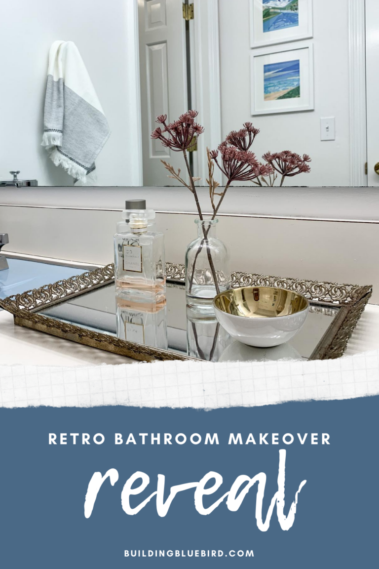 EPIC Retro Bathroom Makeover on a Budget Building Bluebird