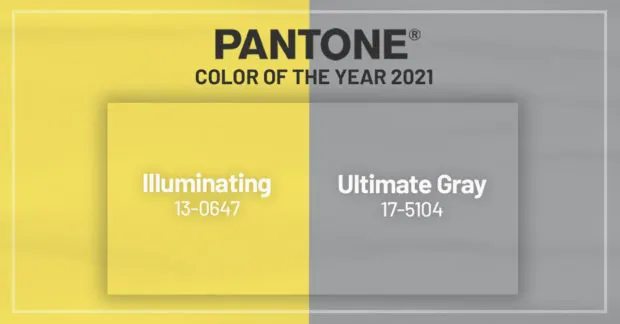 2021 Paint Color Trends - Illuminating and Ultimate Gray by Pantone | Building Bluebird #designtrends 