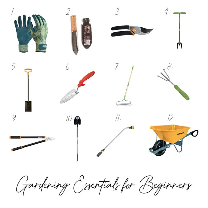 My favorite tools to recommend to beginner gardeners | Building Bluebird #greenthumb #englishgarden #gardening #pottedplants