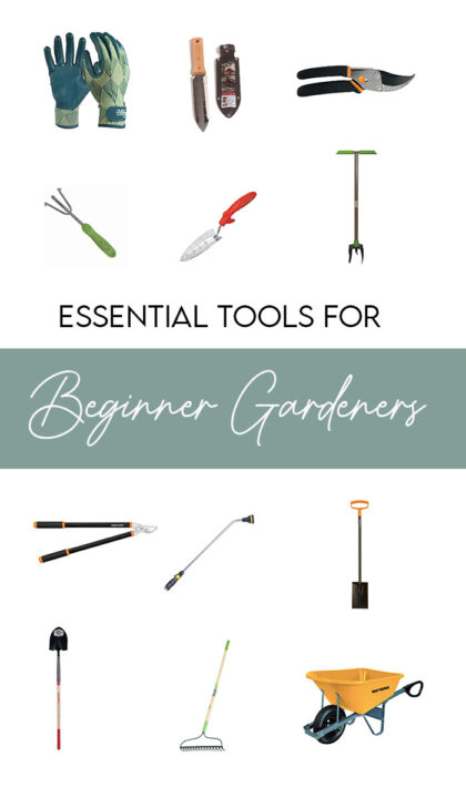 My favorite tools to recommend to beginner gardeners | Building Bluebird #greenthumb #englishgarden #gardening #pottedplants