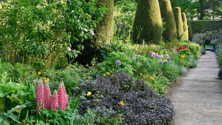Hidcote long borders are a geat example of the English gardens so many of us work to achieve | Building Bluebird #cottagecore