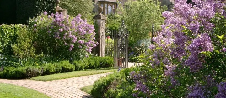 The garden at Hidcote with lilac bushes, stone bathways and an iron fence | Building Bluebird #cottagecore #grandmillennial