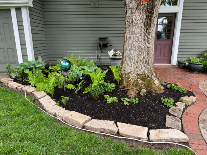 Beginner tips for planning and creating your flower bed garden | Building Bluebird 