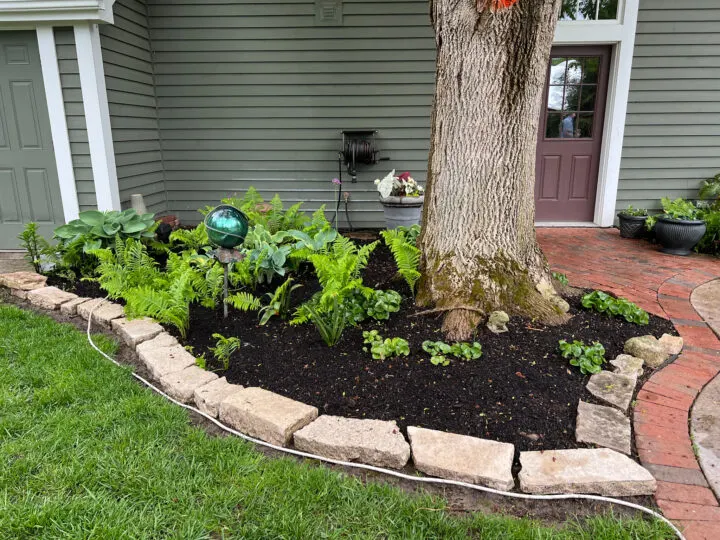 Beginner tips for planning and creating your flower bed garden | Building Bluebird