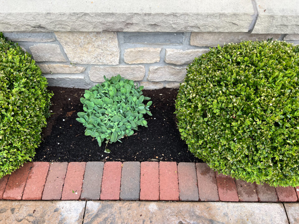How to Install Brick Edging Around a Patio - Building Bluebird