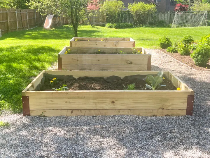 DIY tutorial - how to build simple raised garden boxes | Building Bluebird