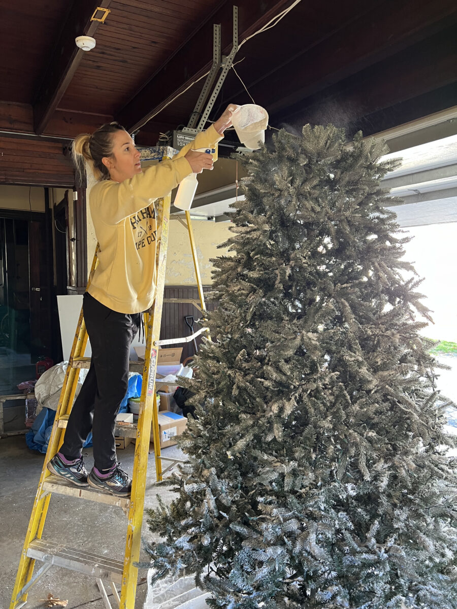 How to Flock a Christmas Tree DIY Building Bluebird