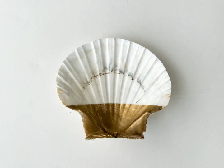 Simple and affordable seashell jewelry dish DIY with gold accents | Building Bluebird