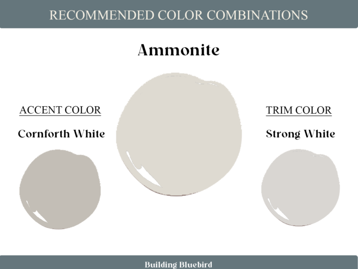 Ammonite - 9 of the most popular Farrow and Ball colors to try at home | Building Bluebird 
