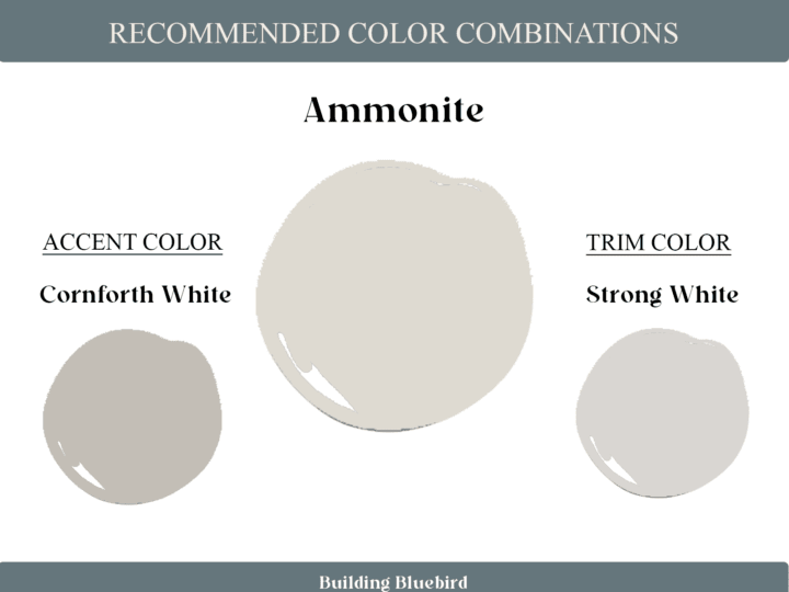 Ammonite - 9 of the most popular Farrow and Ball colors to try at home | Building Bluebird 