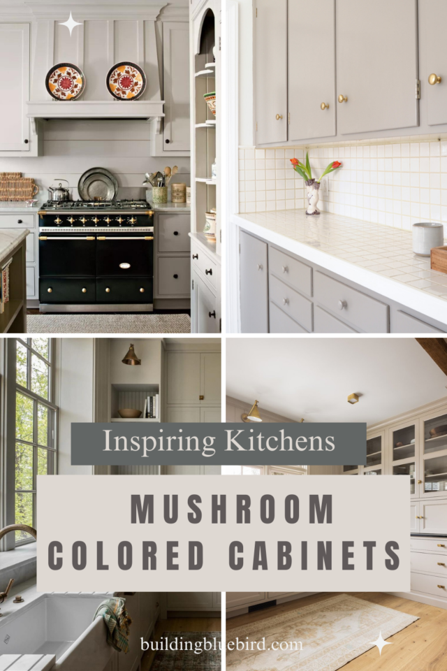 7 Inspiring Kitchens Mushroom Color Building Bluebird