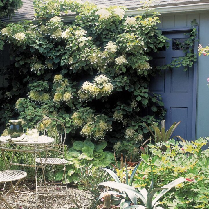 7 beautiful shade garden ideas and inspiration | Building Bluebird