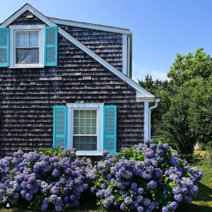 Charming Cape Cod cottage with blue shutters and cedar shingles