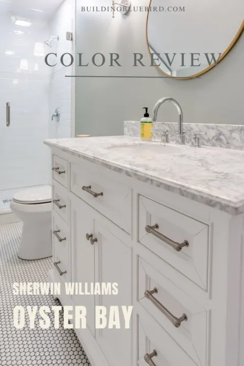 sherwin williams drizzle bathroom