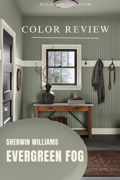 Evergreen Fog by Sherwin Williams | Color Review