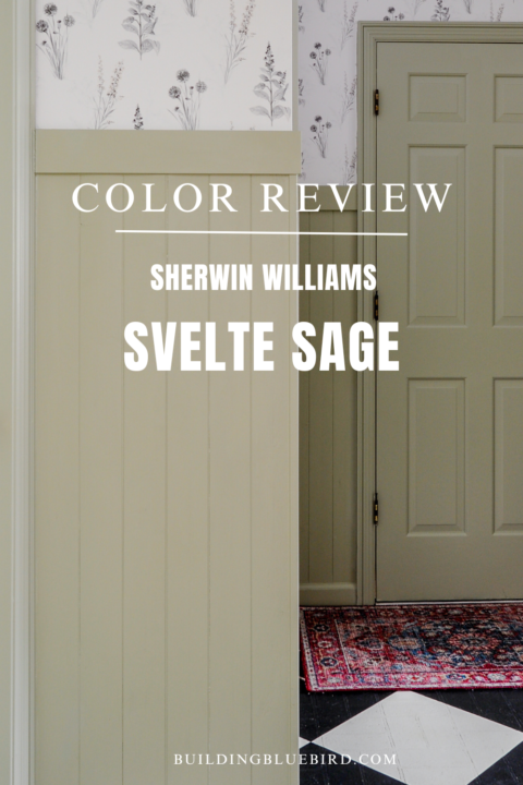 Sherwin Williams Svelte Sage Color Review