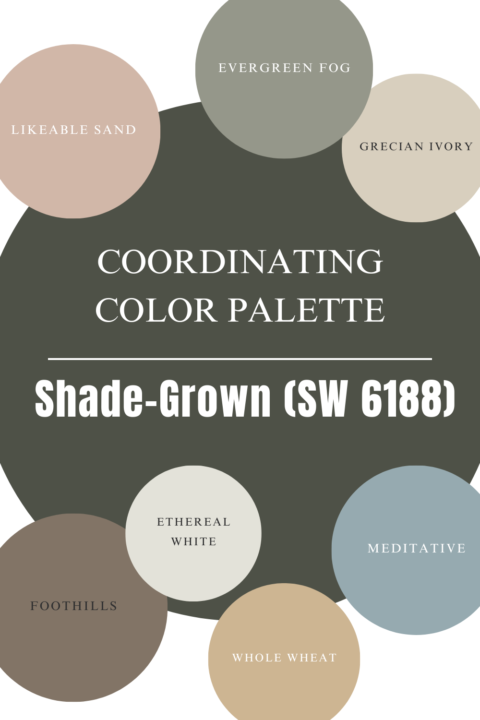 Sherwin Williams Shade Grown Paint Color Review | Coordinating color palette