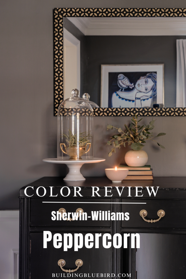 Sherwin Williams Peppercorn (SW 7674) Paint Color Review Building