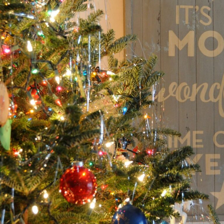 21 Genius Storage Ideas for Christmas Decorations | DIY
